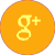 Google Plus